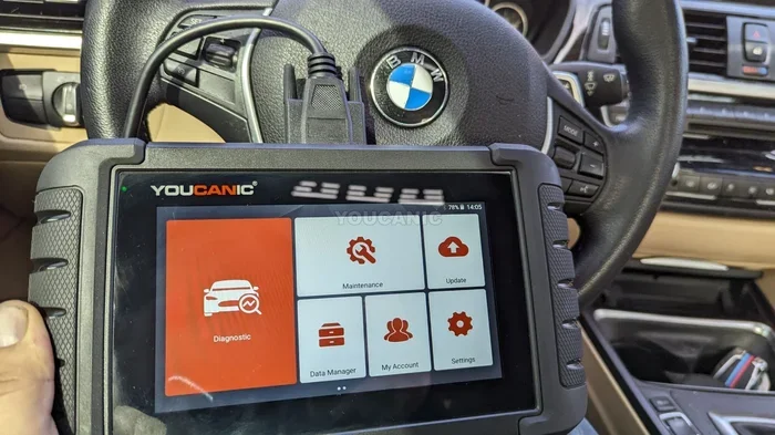 Inpa Bmw