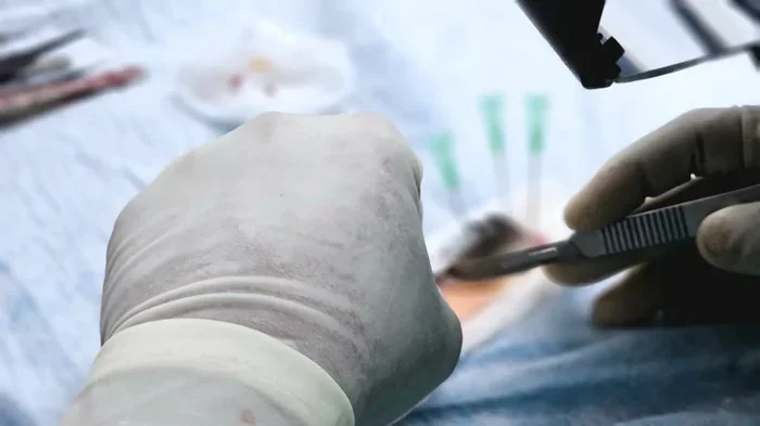 BMW in Medical Terms Explained What It Really Means