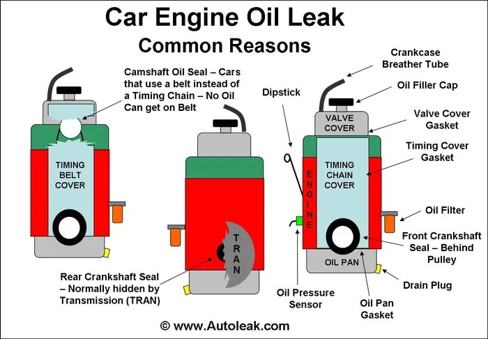 Possible Sources of Oil Smell From Car and What They Mean