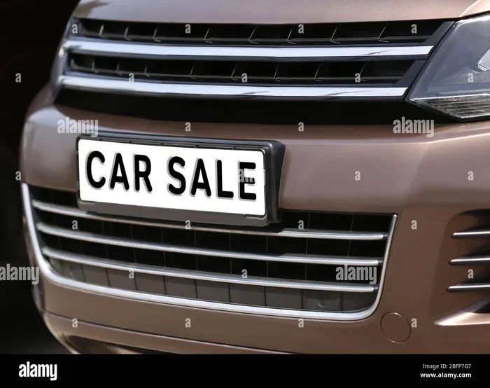 When You Sell a Car the License Plates Go with the New Owner.