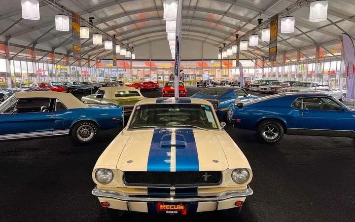 mecum seller Premium Secrets Every Seller Should Know