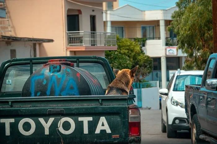 Toyota Stout The Pickup Truck That Stands The Test Of Time